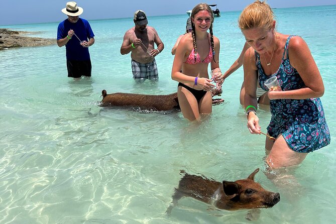 007 Private Beach Club -Swimming Pigs, Snorkeling, Lunch, Drinks - Key Points To Know Before You Go