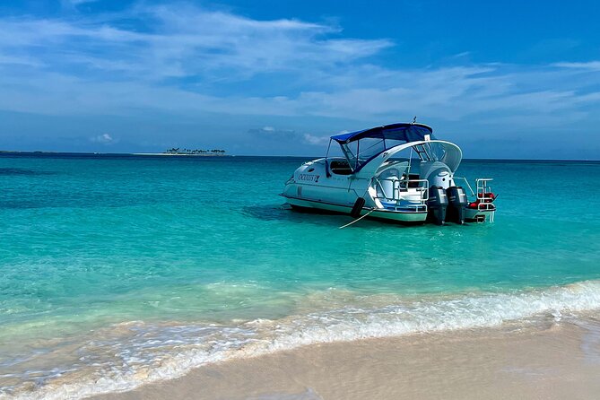 2 Hours Sip and Snorkeling Experience in Bahamas - Who will enjoy this two-hour format