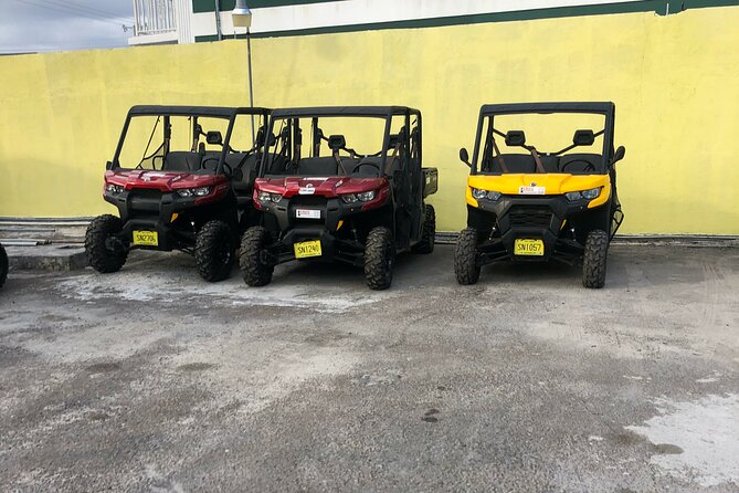3-Hour Buggy Tour of New Providence (Inclusive of water & local deserts) - Why driving gives Nassau a different feel