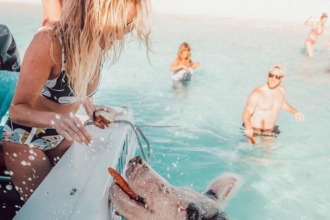 3 Islands Tour, Swim with Pigs, Turtles, Snorkelling & lunch - The crews make a real difference