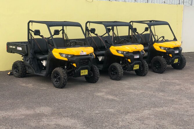4-Hour Buggy Tour of New Providence (Inclusive of water & local deserts) - Key points to know before you book