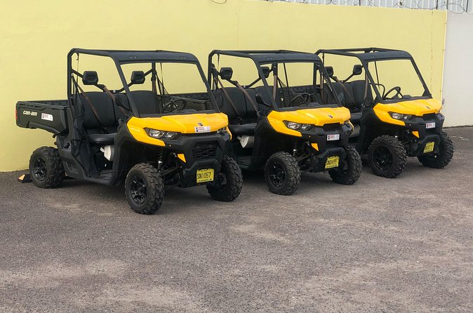 4-Hour Buggy Tour of New Providence (Inclusive of water & local deserts) - Graycliff’s cigar, wine, and chocolate makers
