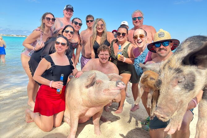 4-Island Tour Swimming Pigs, turtles, snorkeling , rose island, - Key points at a glance