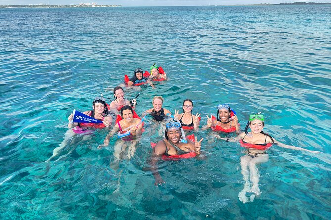 4-Island Tour Swimming Pigs, turtles, snorkeling , rose island, - Is $175 a fair price?