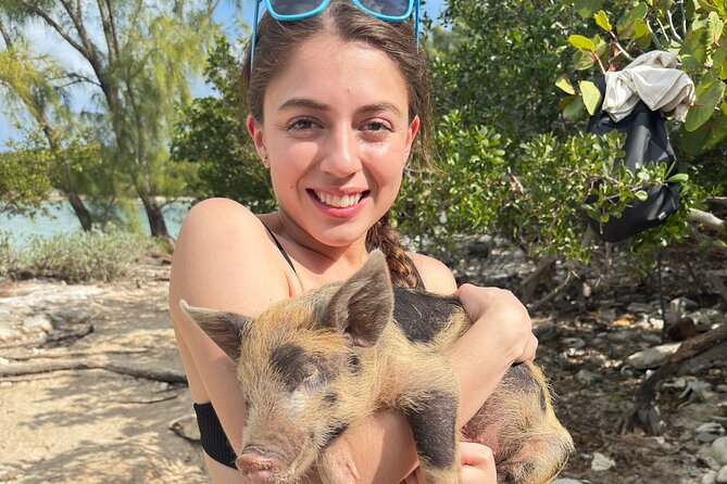 4-Island Tour Swimming Pigs, turtles, snorkeling , rose island, - Snorkeling near Rose or Pearl Island