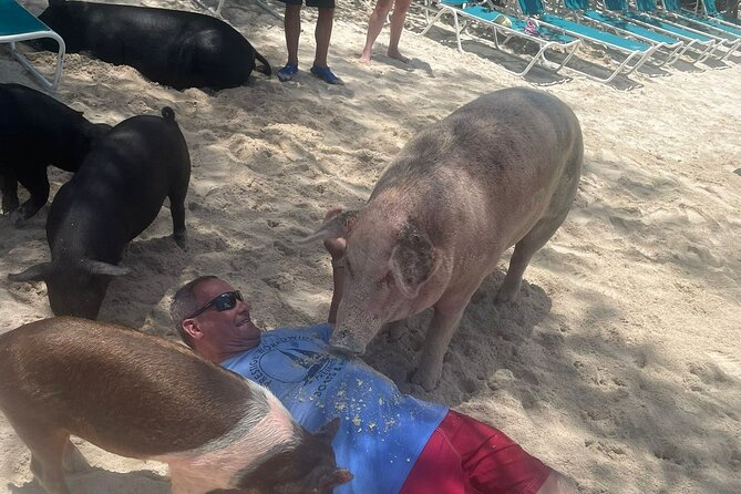 4hr Private Tour Island Hop Snorkel w/ Turtles & Sip Bahama Mamas - Rose Island for beach time and rum punch