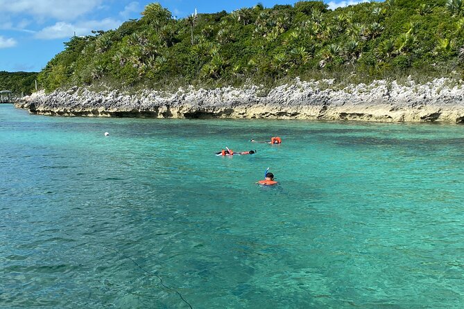 5 Hours Pigs and Turtles with Beach Stop in Bahamas - Two islands, one full half-day on the water