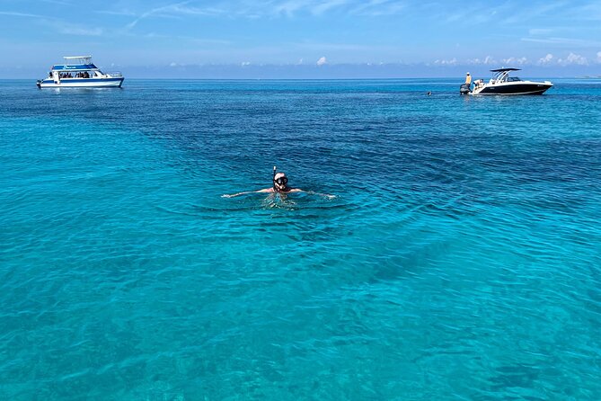 5 Hours Pigs and Turtles with Beach Stop in Bahamas - Rose Island brings the best stretch of the day