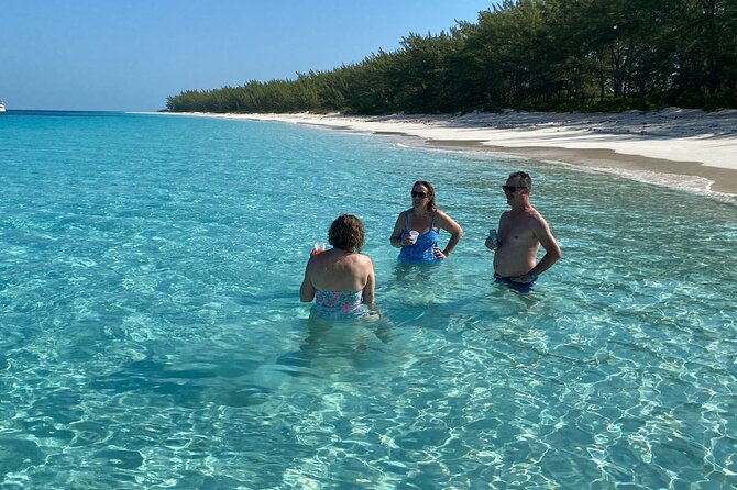 5 Hours Pigs and Turtles with Beach Stop in Bahamas - A small boat changes the price and the mood