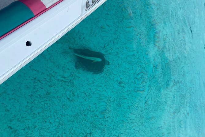 5 Hours Pigs and Turtles with Beach Stop in Bahamas - The crew is a major part of the experience