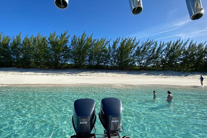 5 Hours Pigs and Turtles with Beach Stop in Bahamas - Who will enjoy this tour most?