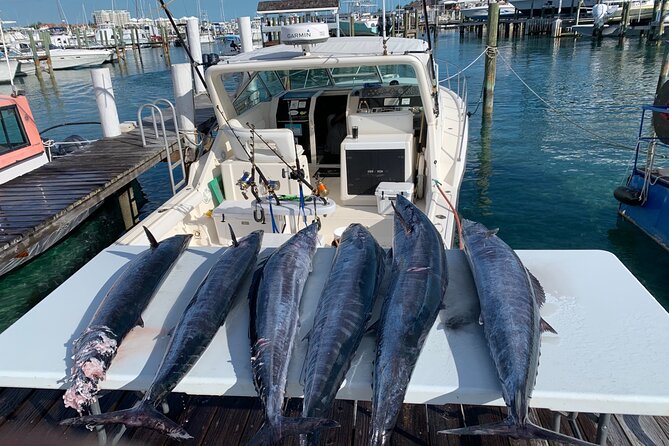 8 hours 38ft Reel Dreams Private Charter Nassau - Meeting at Nassau Yacht Haven