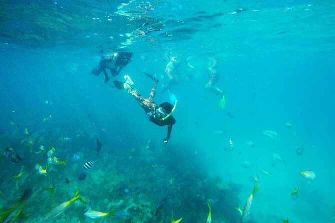 All Inclusive Half Day Sail and Snorkel - Sailing Away From Paradise Island