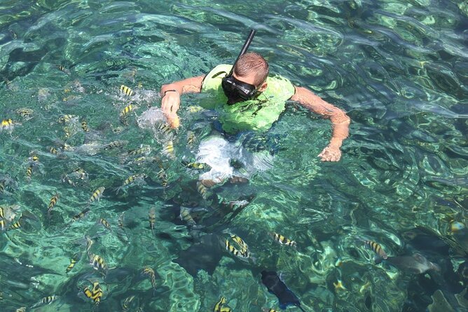 All Inclusive Half Day Sail and Snorkel - Rose Island and Its Uninhabited Beach