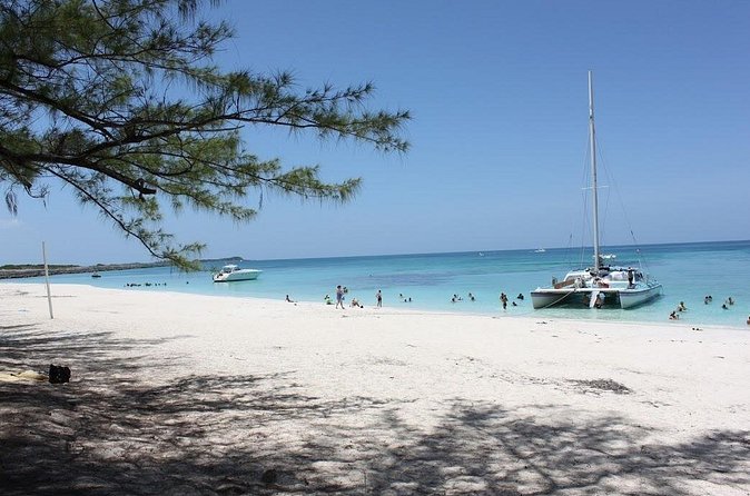 All Inclusive Half Day Sail and Snorkel - Who Will Like This Experience Most