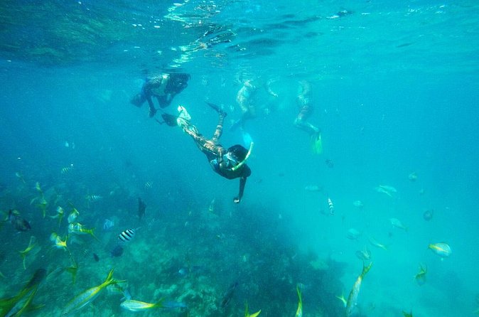 All Inclusive Half Day Sail and Snorkel - Should You Book The Flying Cloud Sail?