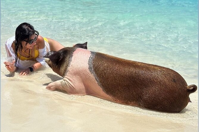 All Inclusive Pig Encounter, Snorkeling, Turtles, Lunch & Beach - What lunch and drinks really include