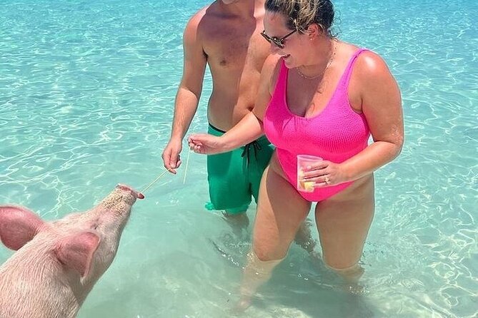 All Inclusive Pig Encounter, Snorkeling, Turtles, Lunch & Beach - Is $149 a fair price?