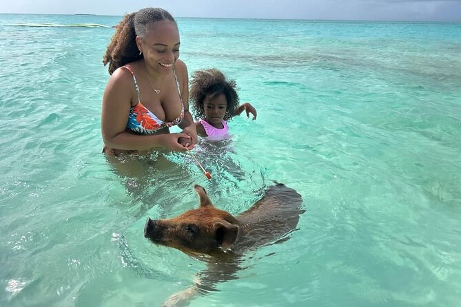 All Inclusive Pig Encounter, Snorkeling, Turtles, Lunch & Beach - Who will enjoy this Nassau excursion?