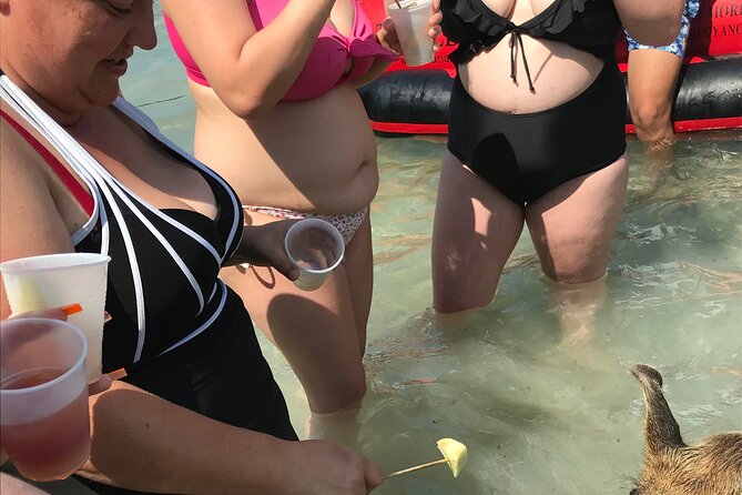 All Inclusive Swimming With The Pigs - What the included drinks and equipment mean for value