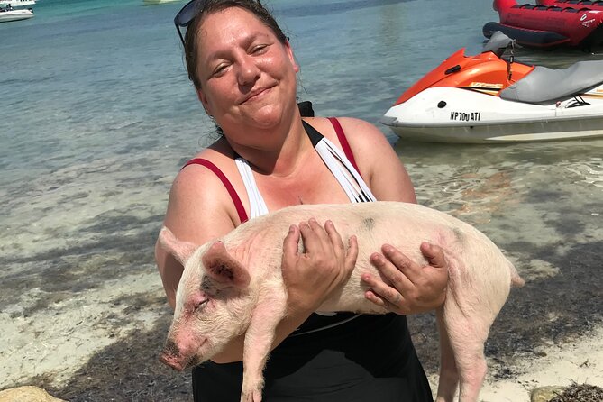 All Inclusive Swimming With The Pigs - The small group and the guide-led feel