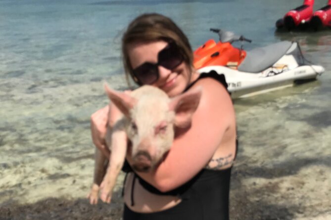 All Inclusive Swimming With The Pigs - Heat, timing, and the practical side of the day