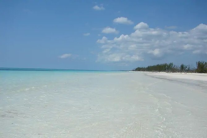 Around Town/Bahamian Cooking Experience - Start at the open-air farmer’s market