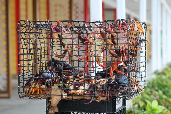 Around Town/Bahamian Cooking Experience - Meet local makers in the settlements