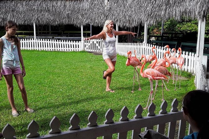 At YOUR Pace Private Tours V.I.P - Nassau, Bahamas - Queen’s Staircase and the cost of a short walk