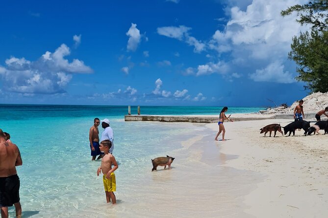 Athol Island Swimming Pigs Half-Day Boat Tour with Lunch - Pearl Island and the first 30 minutes in the water