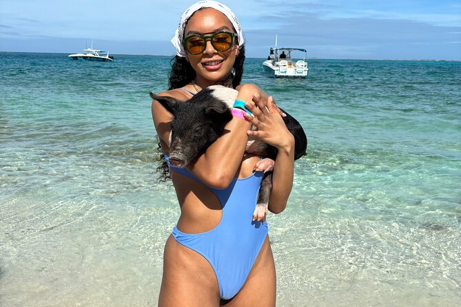 Bahamas Adventure: Pigs, Reef, Turtles, and Beach with Lunch - Why this Nassau outing packs in so much