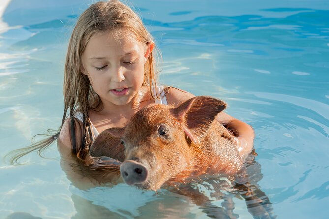 Bahamas Adventure: Pigs, Reef, Turtles, and Beach with Lunch - Who will enjoy this, and who may not