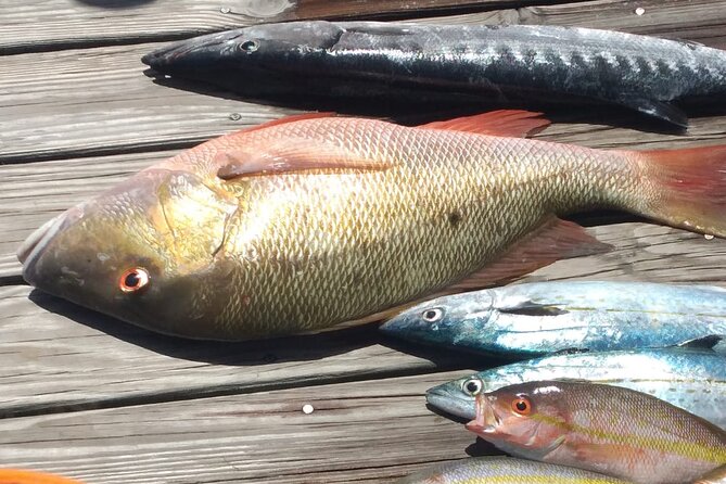 Bahamas Deep Sea Fishing - What bottom fishing is like