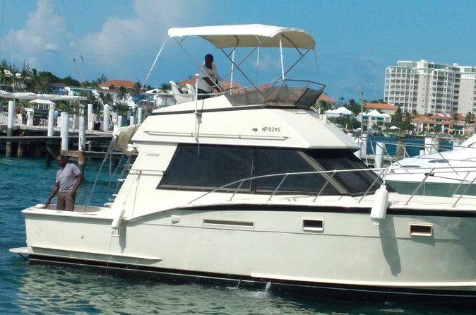 Bahamas Deep Sea Fishing - October through February: the wahoo window
