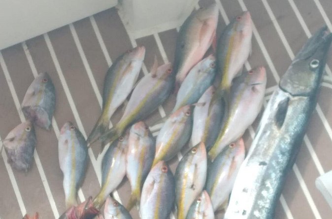 Bahamas Deep Sea Fishing - What is included, and what you need to bring