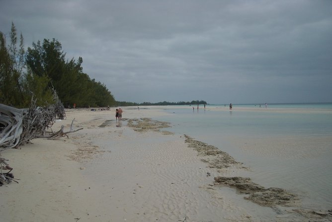 Bahamas Get-A-Round Bus Pass - Hotel stops and the value of avoiding taxis