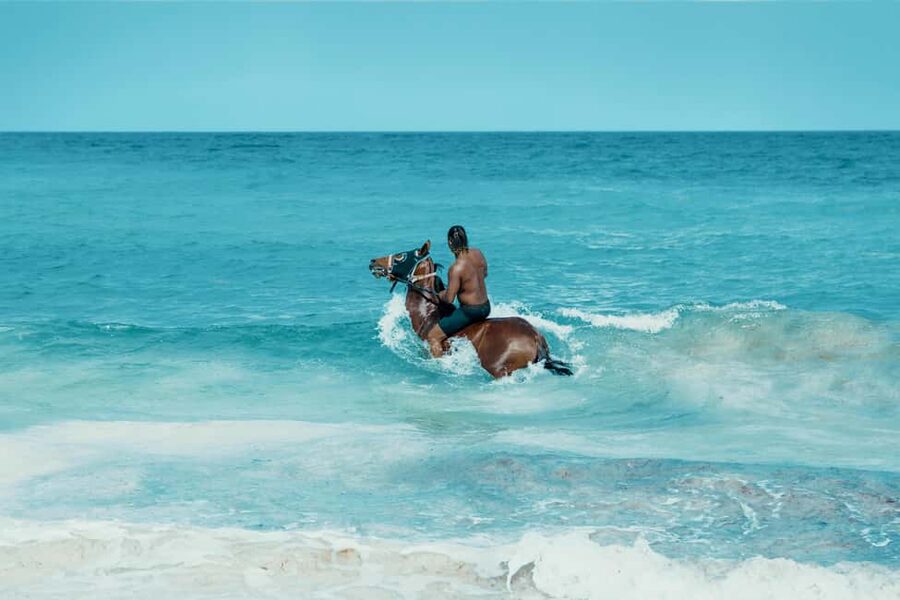 Bahamas: Nassau Horseback Riding on Beaches & Trails - What the two-hour pace feels like