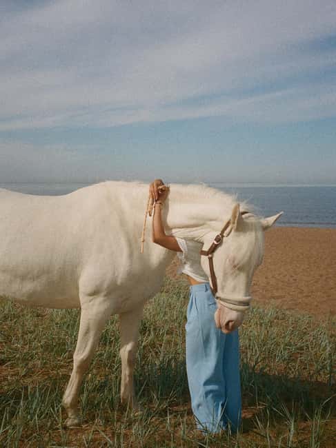 Bahamas: Nassau Horseback Riding on Beaches & Trails - Booking flexibility and the details to confirm