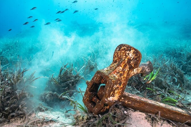 Bahamas on a Semi Submersive Glass Bottom Boat - Seeing marine life from a dry seat