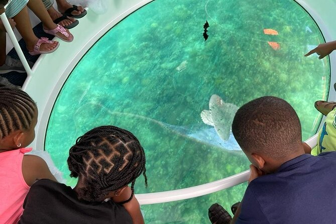 Bahamas on a Semi Submersive Glass Bottom Boat - Timing, weather, and cancellation details
