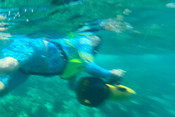 Bahamas Sea Scooter Snorkeling Adventure - Lunch, beach time, and the pace of the afternoon