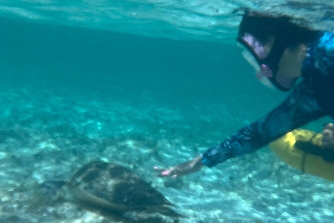 Bahamas Sea Scooter Snorkeling Adventure - The six-hour schedule and meeting point