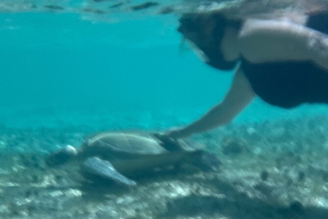 Bahamas Sea Scooter Snorkeling Adventure - Physical demands and who should book