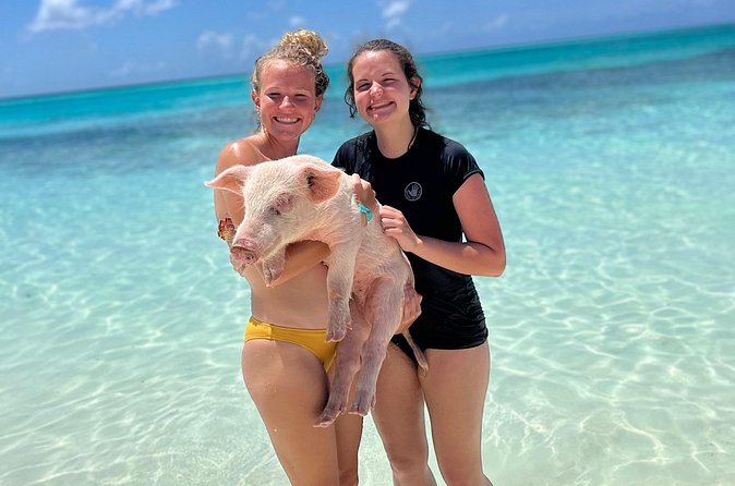 Bahamas Swimming Pigs Experience on Rose Island - Lunch, drinks, and the rhythm of the afternoon