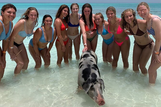 Bahamas Swimming Pigs Experience on Rose Island - Is $179 a fair price?