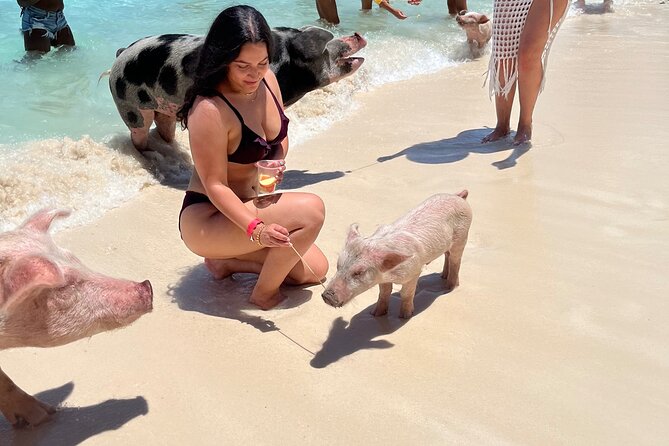 Bahamas Swimming Pigs Experience on Rose Island - Who will enjoy this half-day outing