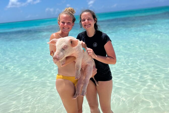 Bahamas Swimming Pigs Experience on Rose Island - Booking, weather, and small practical details