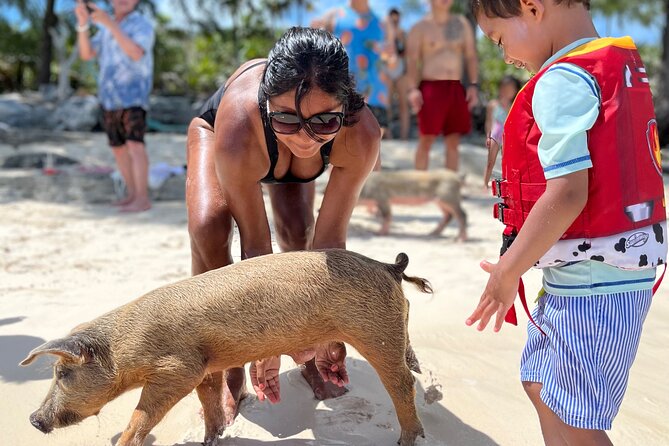 Bahamas Swimming Pigs Experience on Rose Island - What the pig encounter is really like