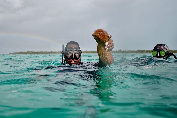 Blue hole, drift snorkeling, turtles Celebration Key is welcome - Transport, timing, and cruise-port planning
