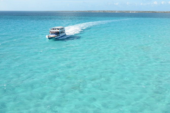 Blue Lagoon Island Beach Day from Nassau - Dolphins, sea lions, and the marine park